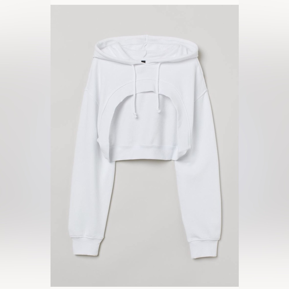 3/$10 🌼 Super Cropped H&M Hoodie